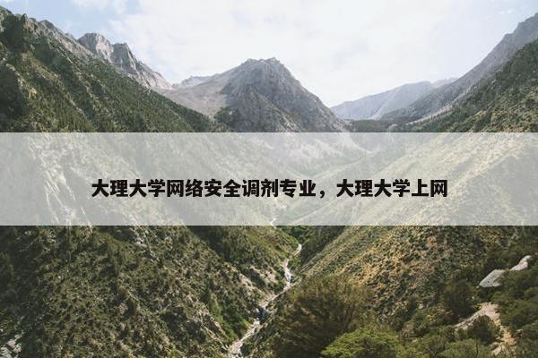 大理大学网络安全调剂专业，大理大学上网