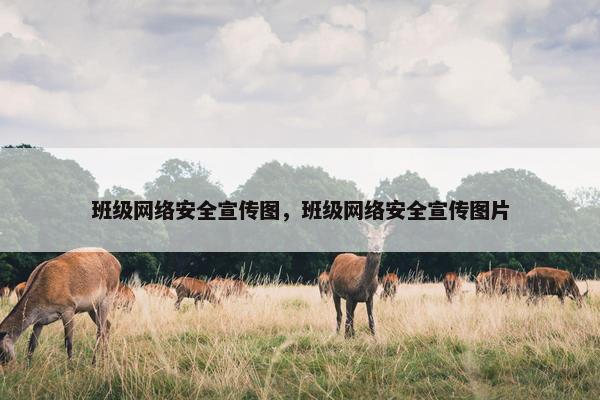 班级网络安全宣传图，班级网络安全宣传图片