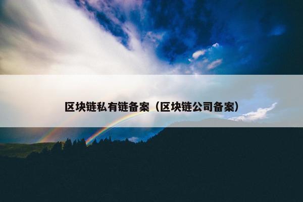 区块链私有链备案（区块链公司备案）