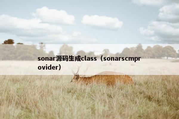 sonar源码生成class（sonarscmprovider）