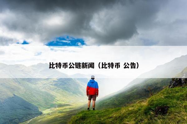 比特币公链新闻（比特币 公告）