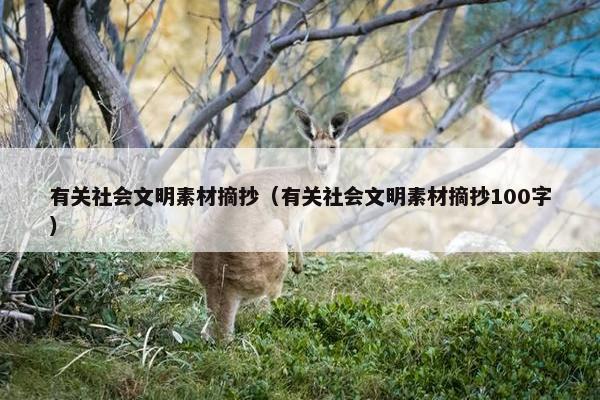 有关社会文明素材摘抄（有关社会文明素材摘抄100字）