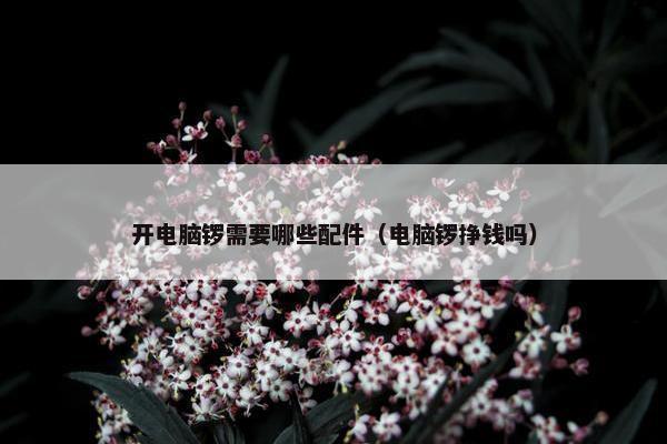 开电脑锣需要哪些配件（电脑锣挣钱吗）