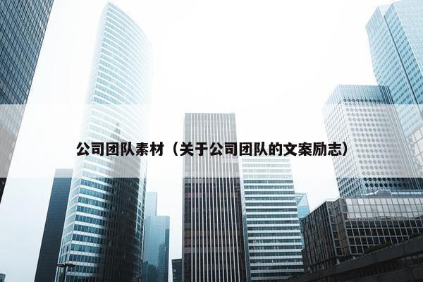 公司团队素材（关于公司团队的文案励志）