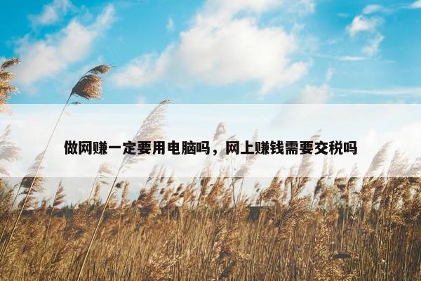 做网赚一定要用电脑吗，网上赚钱需要交税吗