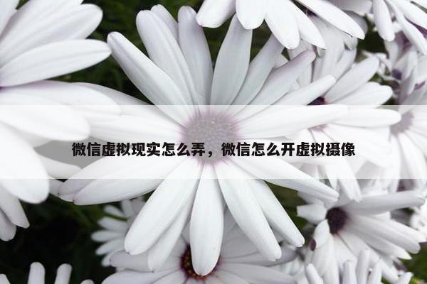微信虚拟现实怎么弄，微信怎么开虚拟摄像
