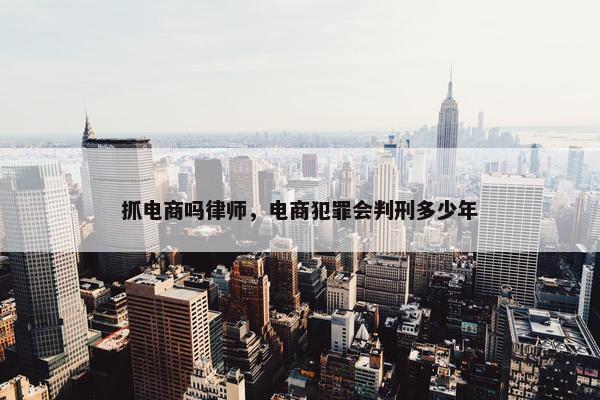 抓电商吗律师，电商犯罪会判刑多少年