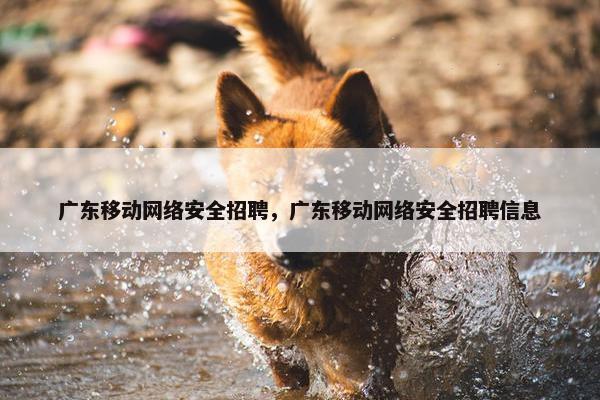 广东移动网络安全招聘，广东移动网络安全招聘信息