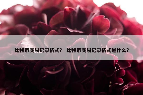 比特币交易记录格式？ 比特币交易记录格式是什么？