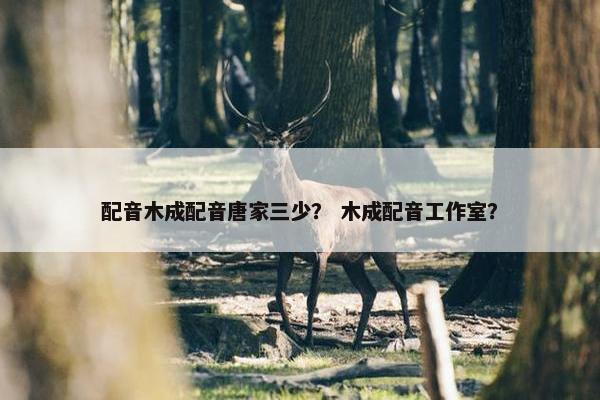 配音木成配音唐家三少？ 木成配音工作室？