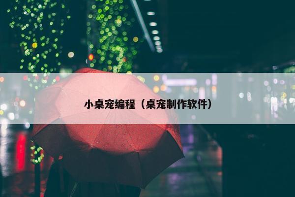 小桌宠编程（桌宠制作软件）