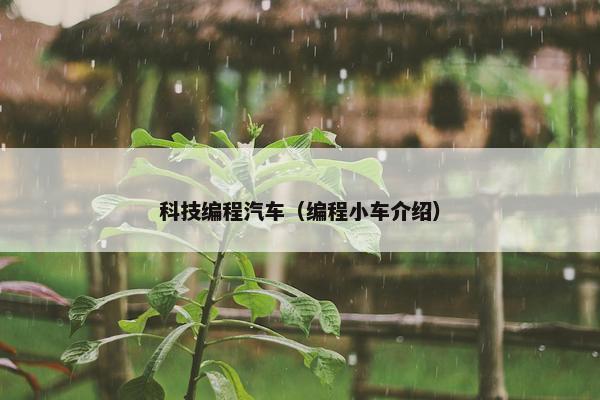 科技编程汽车（编程小车介绍）