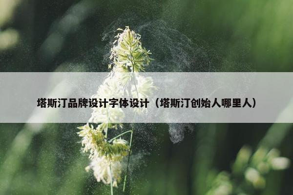 塔斯汀品牌设计字体设计（塔斯汀创始人哪里人）