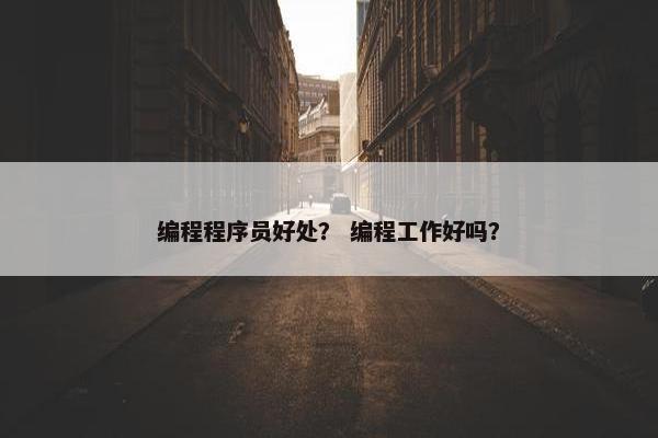 编程程序员好处？ 编程工作好吗？