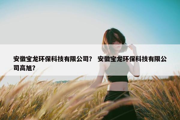 安徽宝龙环保科技有限公司？ 安徽宝龙环保科技有限公司高旭？