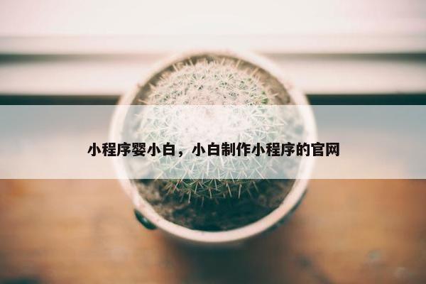 小程序婴小白，小白制作小程序的官网