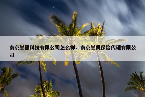 南京誉葆科技有限公司怎么样，南京誉凯保险代理有限公司