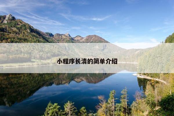 小程序长清的简单介绍