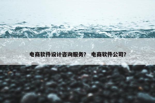 电商软件设计咨询服务？ 电商软件公司？