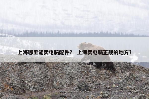 上海哪里能卖电脑配件？ 上海卖电脑正规的地方？