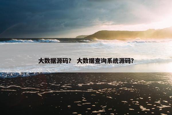 大数据源码？ 大数据查询系统源码？