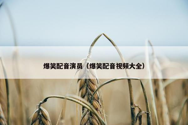 爆笑配音演员（爆笑配音视频大全）