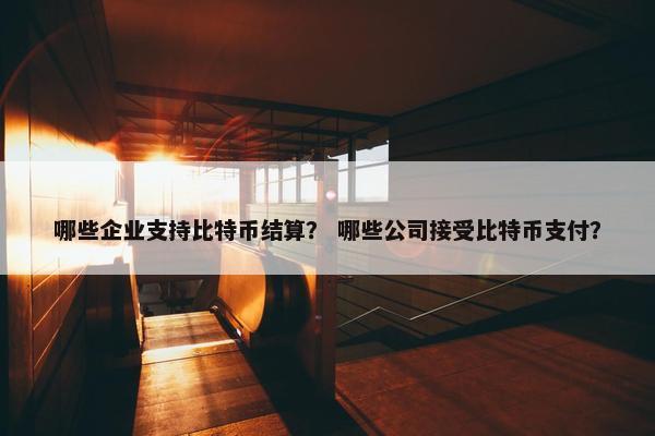 哪些企业支持比特币结算？ 哪些公司接受比特币支付？