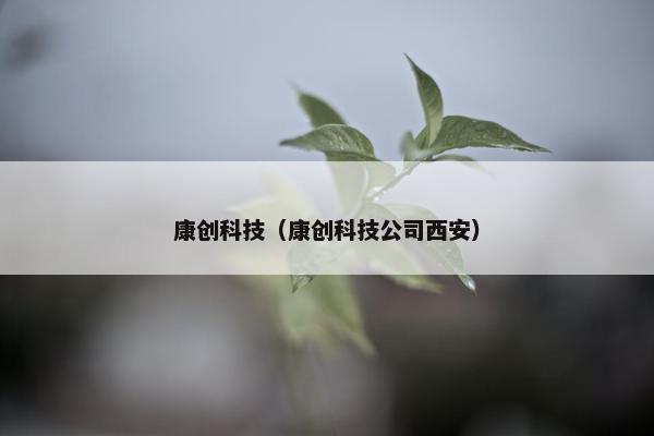 康创科技（康创科技公司西安）
