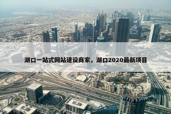 湖口一站式网站建设商家，湖口2020最新项目