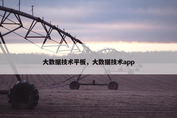 大数据技术平板，大数据技术app