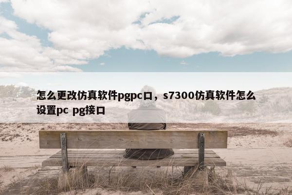 怎么更改仿真软件pgpc口，s7300仿真软件怎么设置pc pg接口