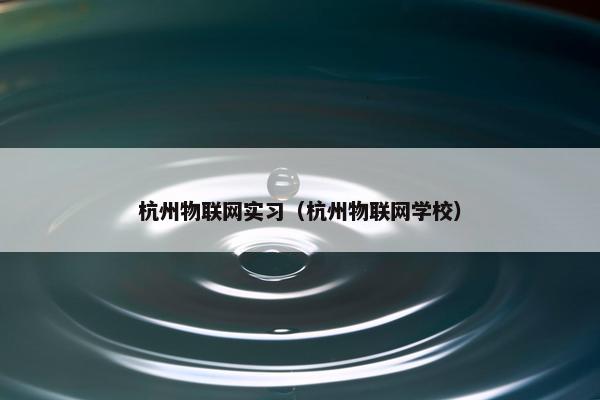 杭州物联网实习（杭州物联网学校）