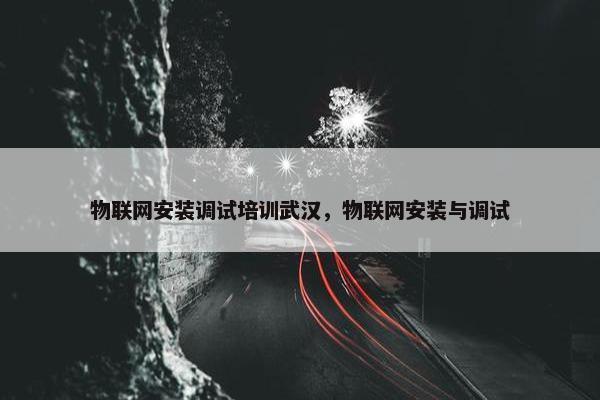 物联网安装调试培训武汉，物联网安装与调试
