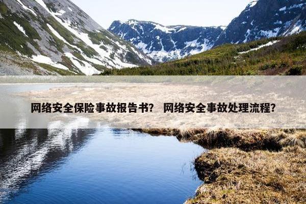 网络安全保险事故报告书？ 网络安全事故处理流程？