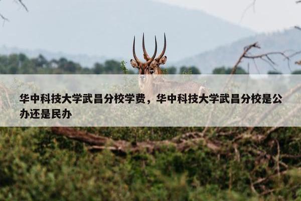 华中科技大学武昌分校学费，华中科技大学武昌分校是公办还是民办