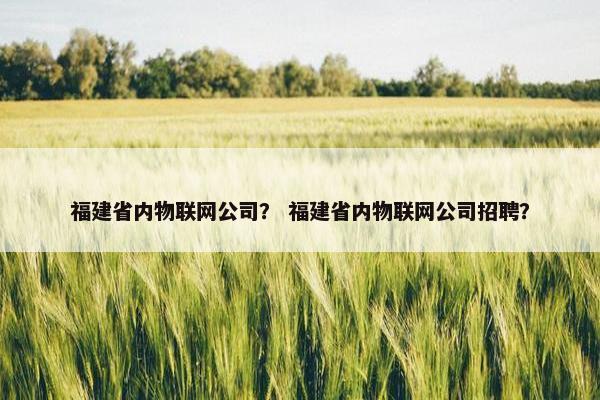福建省内物联网公司？ 福建省内物联网公司招聘？