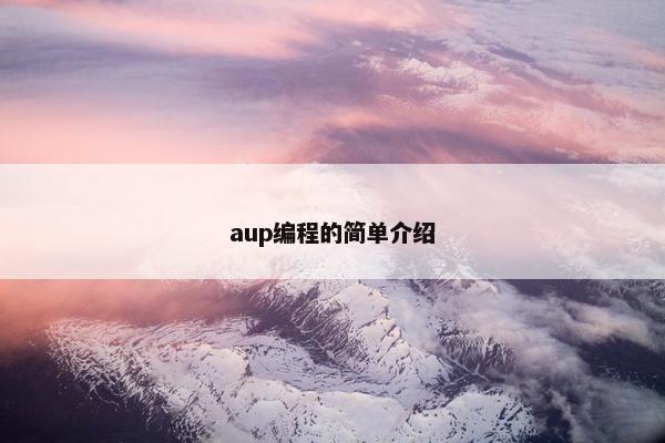 aup编程的简单介绍