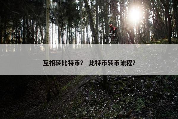 互相转比特币？ 比特币转币流程？