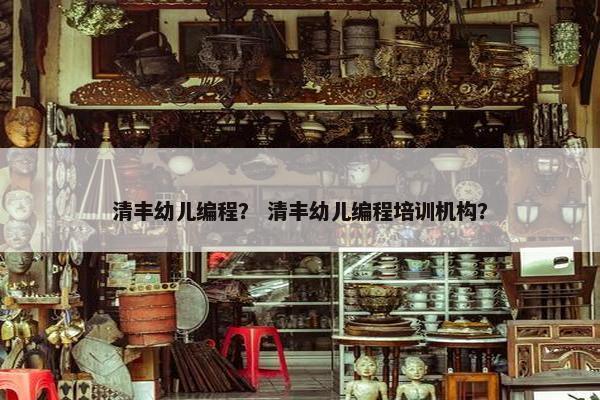 清丰幼儿编程？ 清丰幼儿编程培训机构？