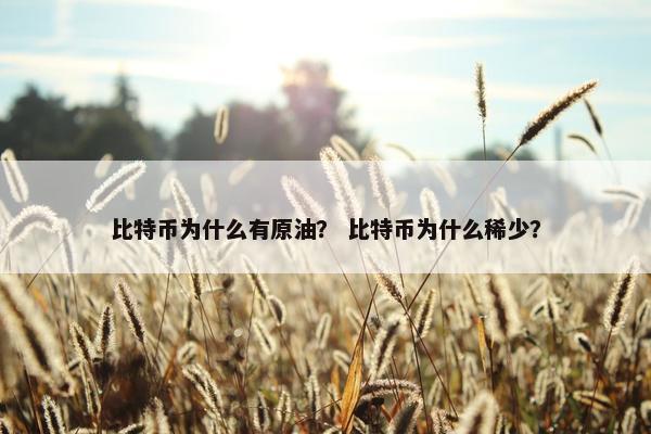比特币为什么有原油？ 比特币为什么稀少？