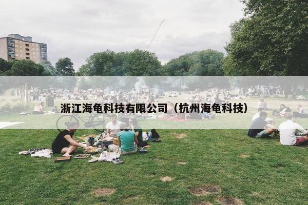 浙江海龟科技有限公司（杭州海龟科技）