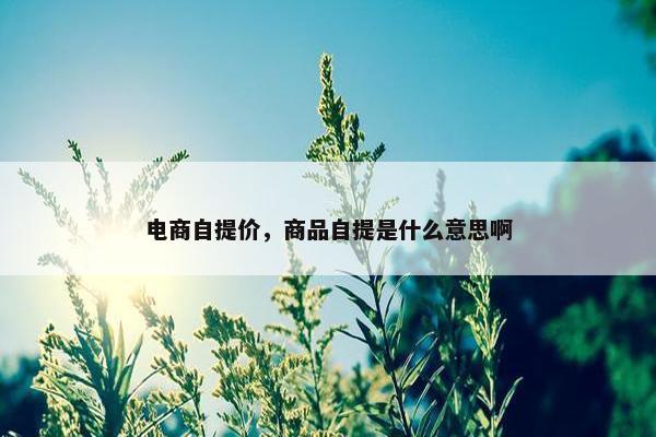 电商自提价，商品自提是什么意思啊