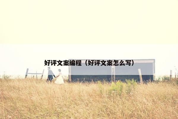 好评文案编程（好评文案怎么写）