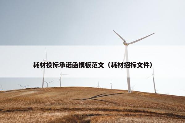耗材投标承诺函模板范文（耗材招标文件）