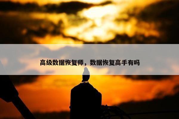 高级数据恢复师，数据恢复高手有吗