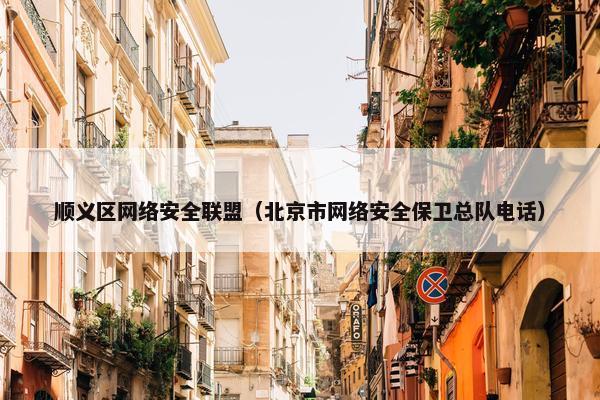 顺义区网络安全联盟（北京市网络安全保卫总队电话）