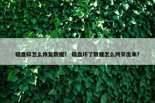 磁盘碎怎么恢复数据？ 磁盘坏了数据怎么拷贝出来？