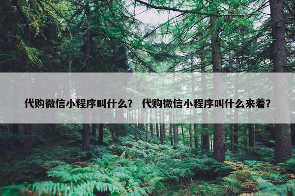 代购微信小程序叫什么？ 代购微信小程序叫什么来着？