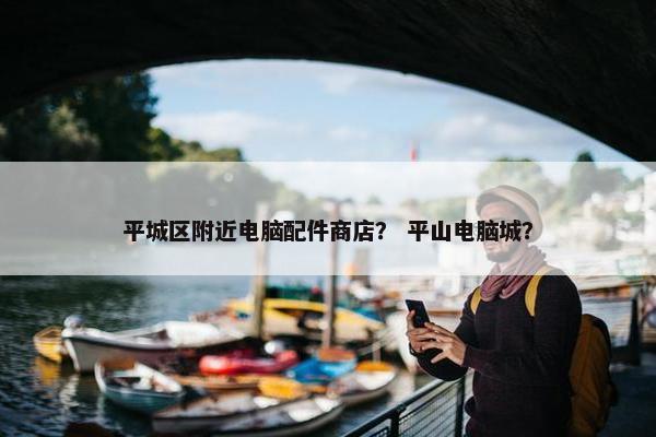 平城区附近电脑配件商店？ 平山电脑城？