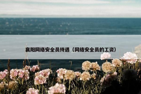 襄阳网络安全员待遇（网络安全员的工资）